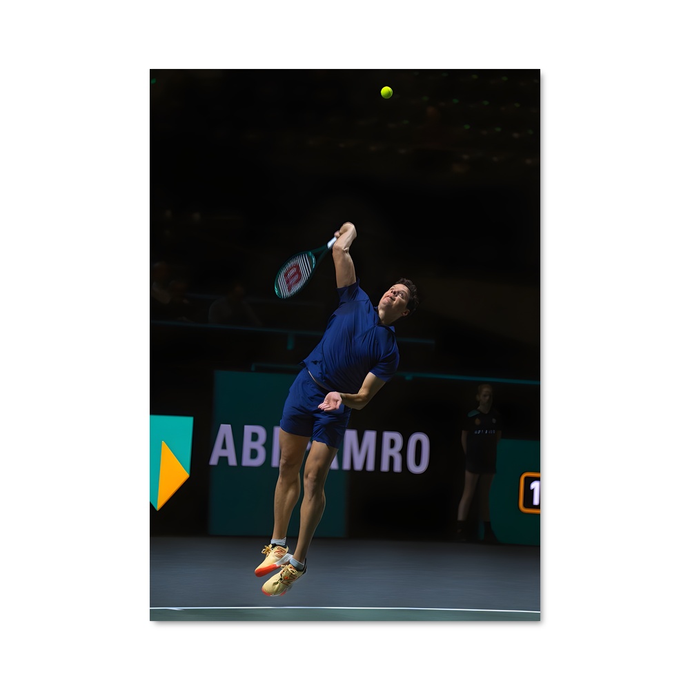 Poster Ace de Raonic